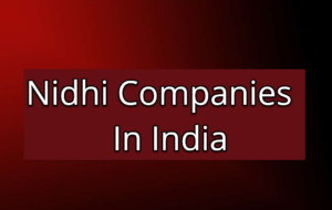 Top 10 Leading Nidhi Companies In India